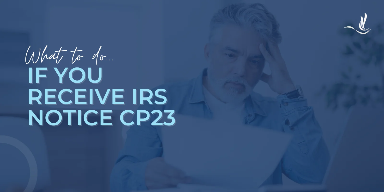 What To Do If You Receive IRS Notice CP23 